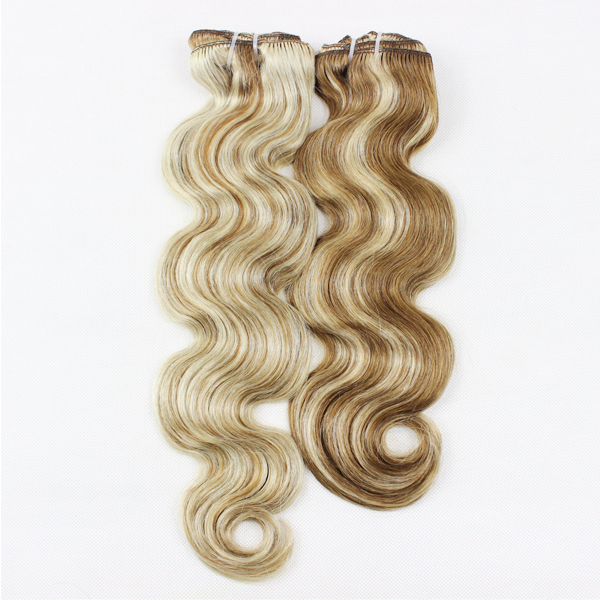 Real hair extensions clip in